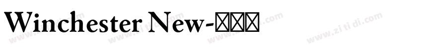 Winchester New字体转换